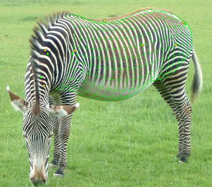 zebra web